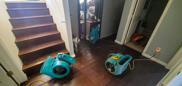 Best Residential water damage restoration  in Scottsville, NY