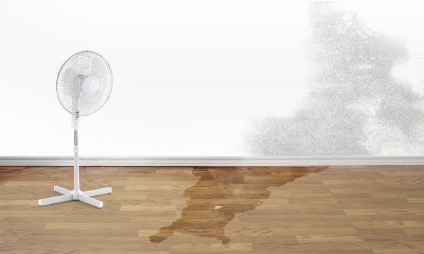 Best Sewage cleanup and water damage restoration  in Scottsville, NY