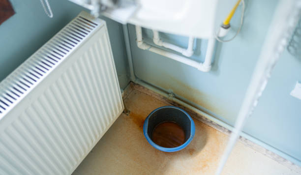Best Water damage restoration experts  in Scottsville, NY