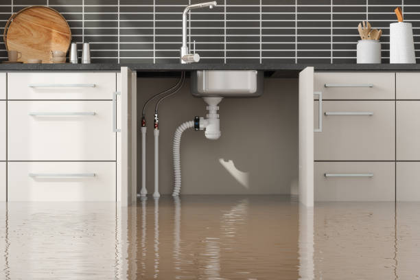 Best Flood damage cleanup  in Scottsville, NY